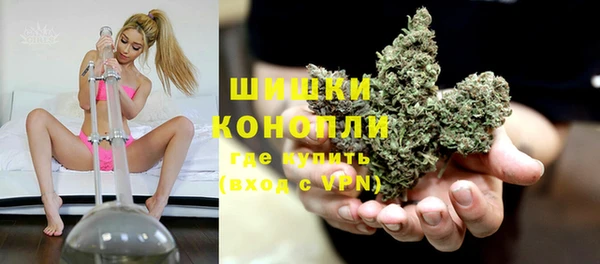 прущие грибы Гусь-Хрустальный