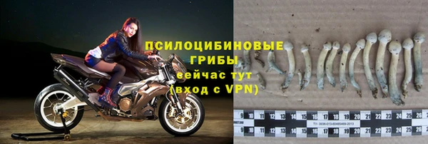 mdma Дмитровск