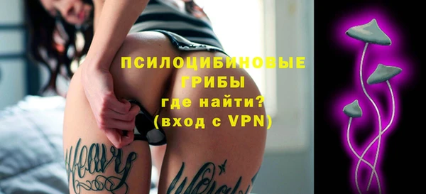 а пвп мука Дмитриев