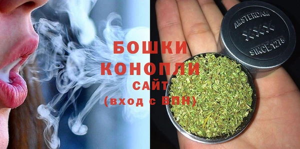 альфа пвп Гусев