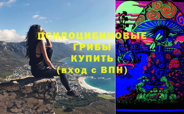 мдпв Дмитров