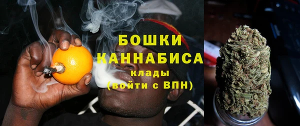 альфа пвп Гусев