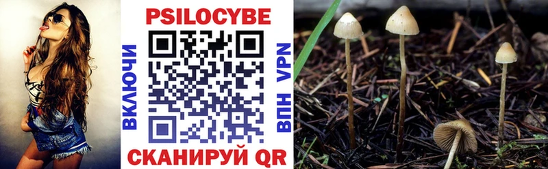 Купить закладки  Радужный  Галлюциногенные грибы Psilocybe 